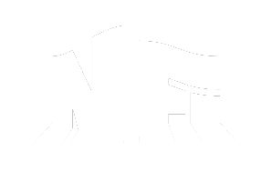 NFI